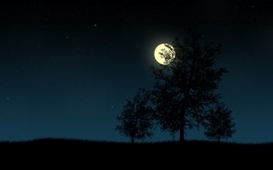 Sfondi HD gratis - la notte