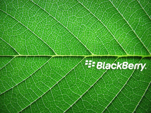 Sfondi HD Blackberry - foglia