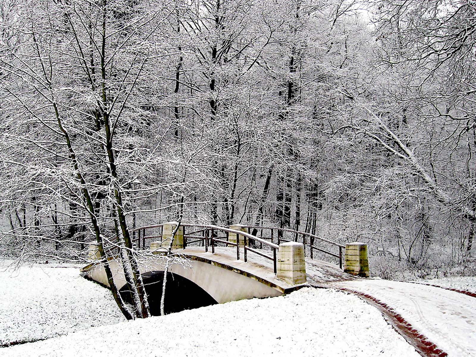 Sfondi Paesaggi Invernali Natalizi.Sfondi Desktop Hd Natale 2013 Foresta Innevata Sfondi Hd Gratis