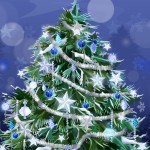 Sfondi desktop natale 2012 per pc - albero di natale