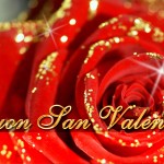 Sfondi amore e san valentino per desktop - rosa rossa