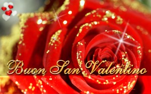 Sfondi amore e san valentino per desktop - rosa rossa