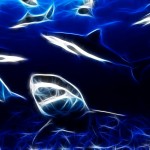 Sfondi animali frattali HD - squali