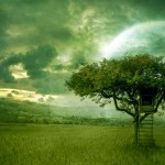 Sfondi paesaggi HD - casa sull'albero