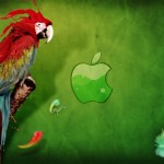 Sfondi HD MAc Apple - pappagallo