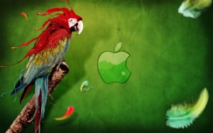 Sfondi HD MAc Apple - pappagallo