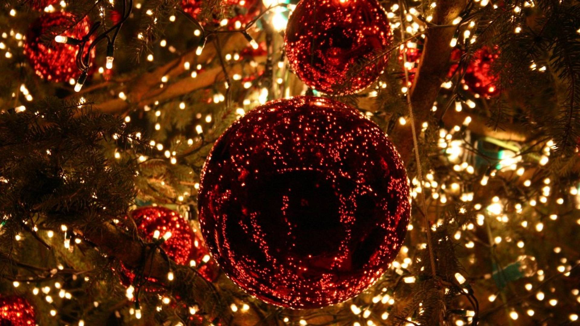 Immagini Natalizie In Hd.Sfondo Hd Natale Albero Di Natale Sfondi Hd Gratis