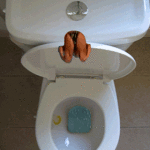 Immagine animata tuffo nel wc