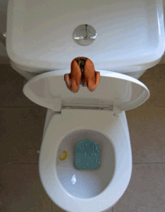 Immagine animata tuffo nel wc