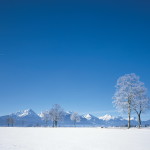 Sfondo paesaggio innevato