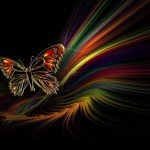 Sfondo farfalla astratta e colori