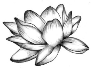 Tattoo fiore di loto