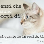 Frase-bella-sullamore-degli-animali