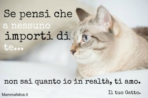 Frase-bella-sullamore-degli-animali